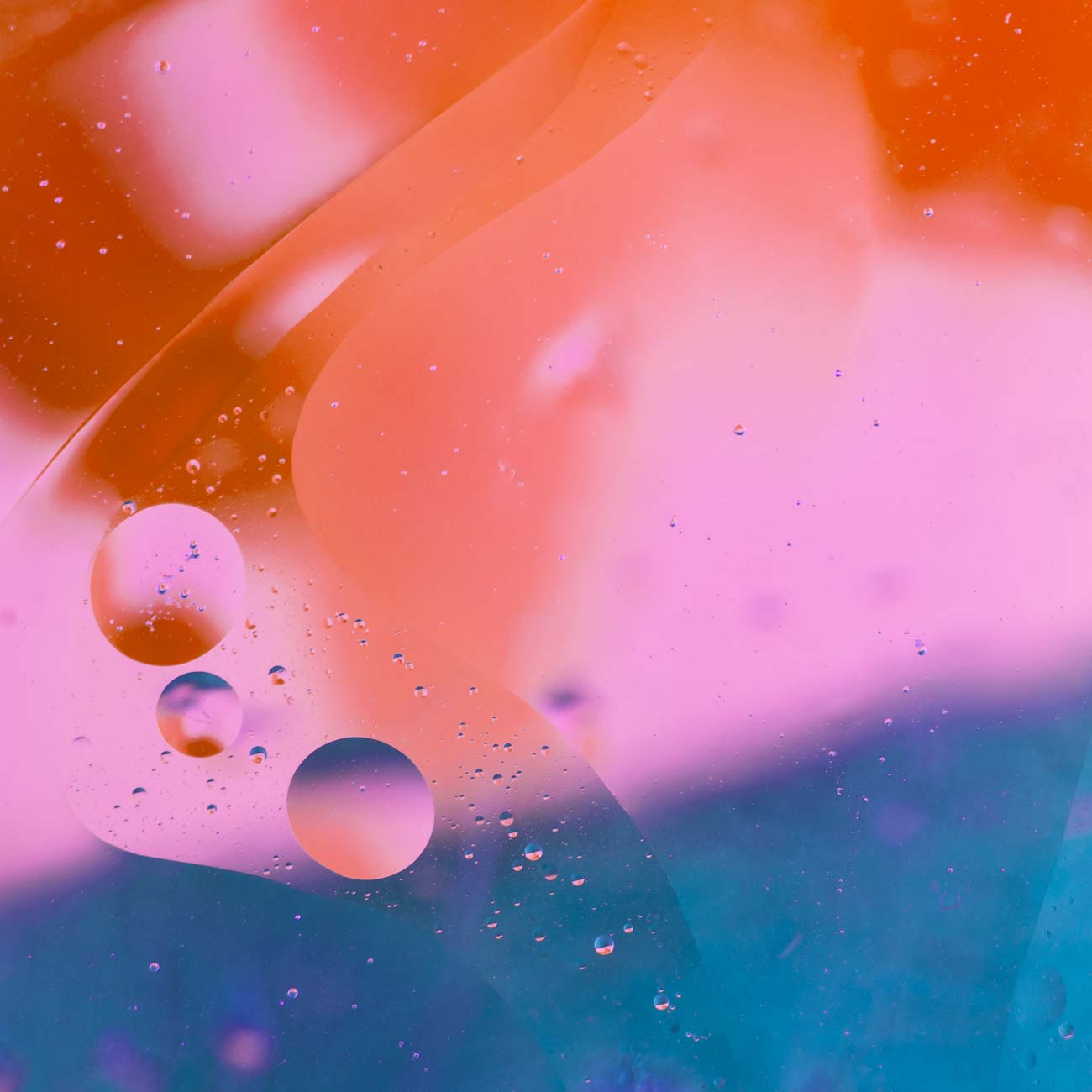 Osservo le date fra l’ultima mail e questa… 